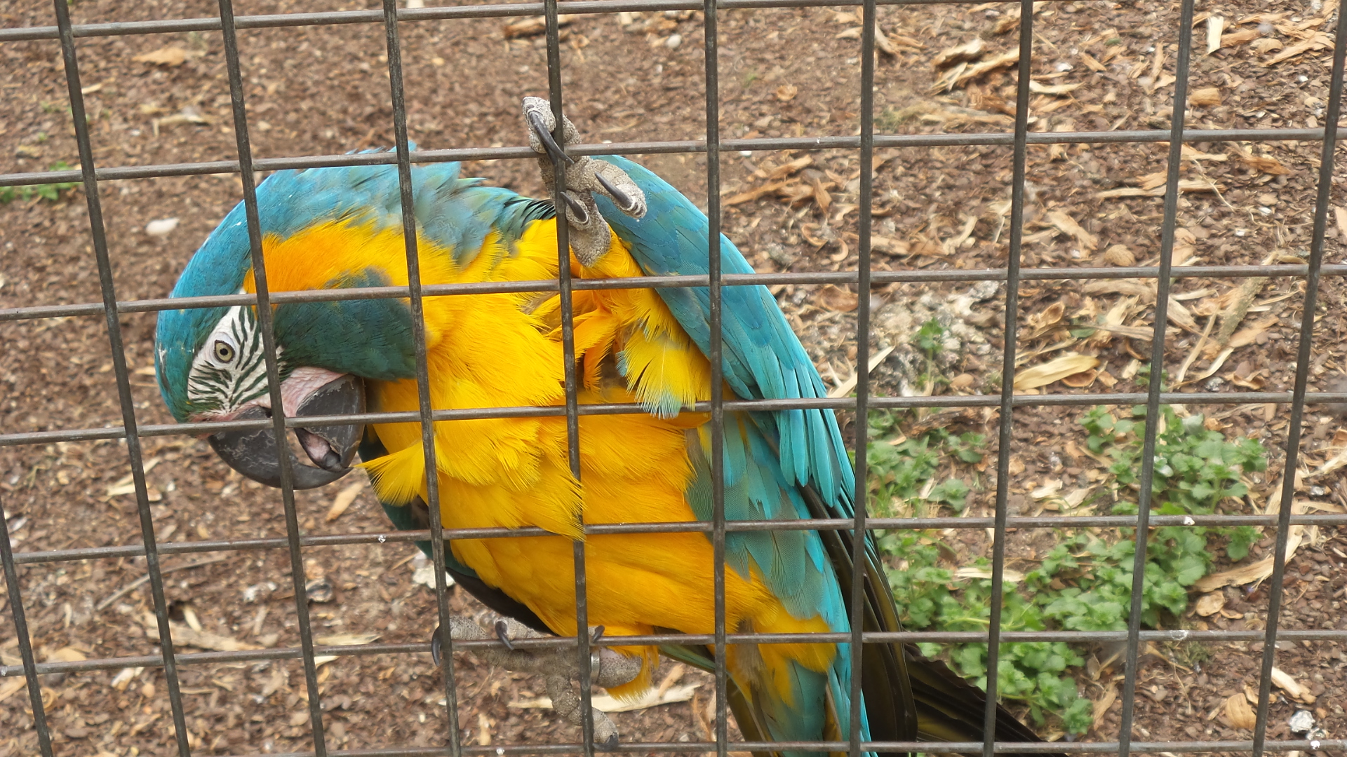20190603_145359