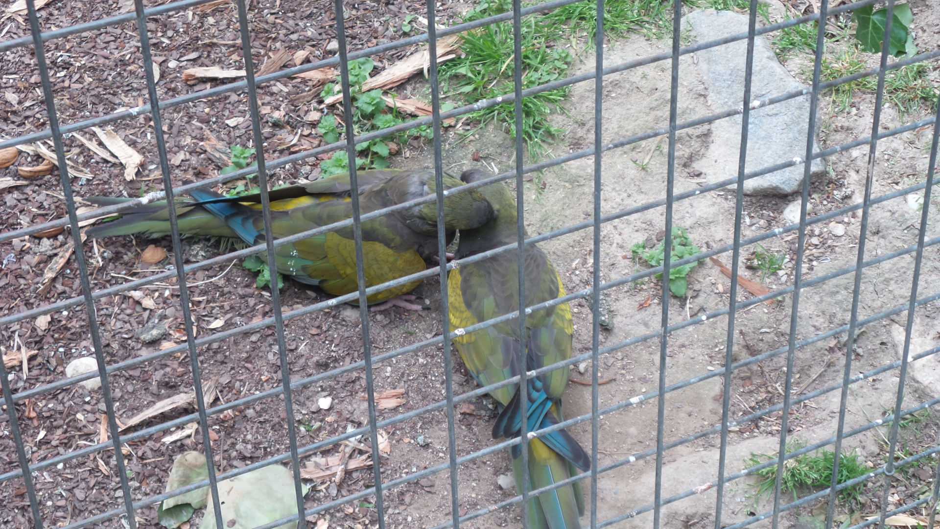 20190603_145408