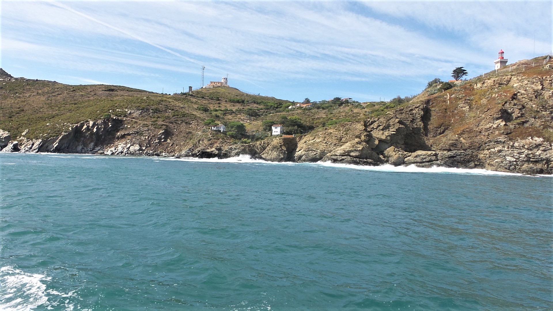 Le cap bear
