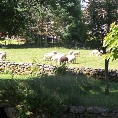 La ferme des fréres Perrel à Moudeyres haute loire