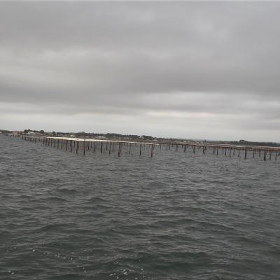 L'étang de Thau et les parcs à coquillages 