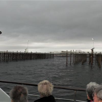 L'étang de Thau et les parcs à coquillages 