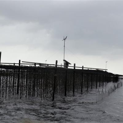 L'étang de Thau et les parcs à coquillages 