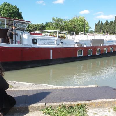Promenade sur le canal du midi