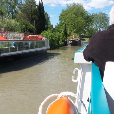 Promenade sur le canal du midi