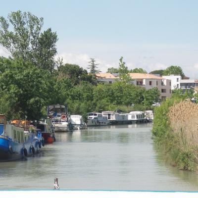 Promenade sur le canal du midi 