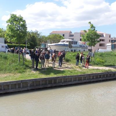 Promenade sur le canal du midi 