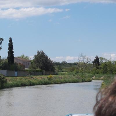 Promenade sur le canal du midi 