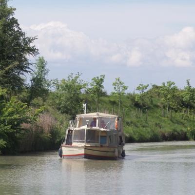 Promenade sur le canal du midi 