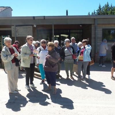 les bisons de sainte eulalie lozere