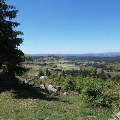 Vue sur la Lozère depuis le Parc des bisons