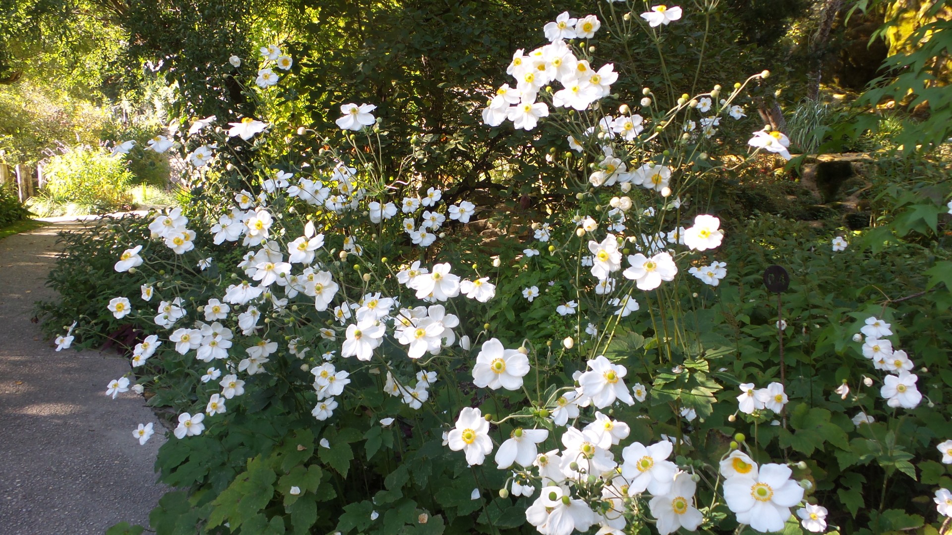 Jardin des Fontaines Pétrifiantes