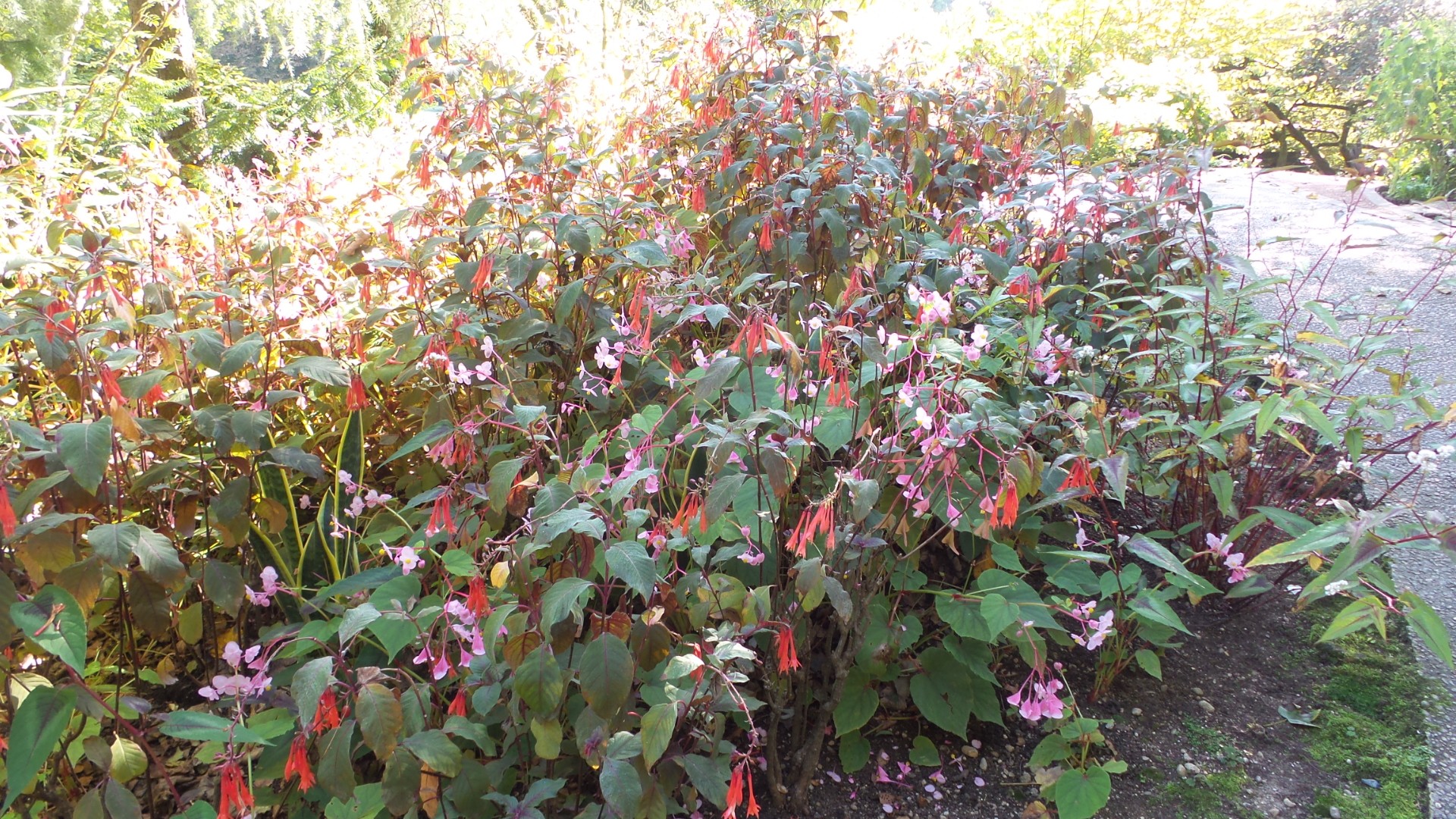 Jardin des Fontaines Pétrifiantes