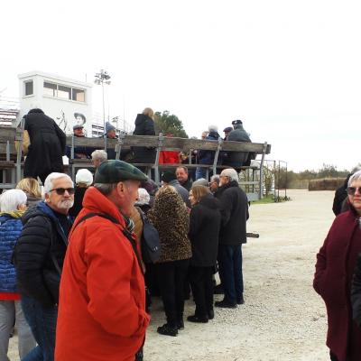 Visite de la manade de Méjanes