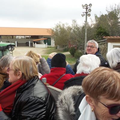 Visite de la manade de Méjanes