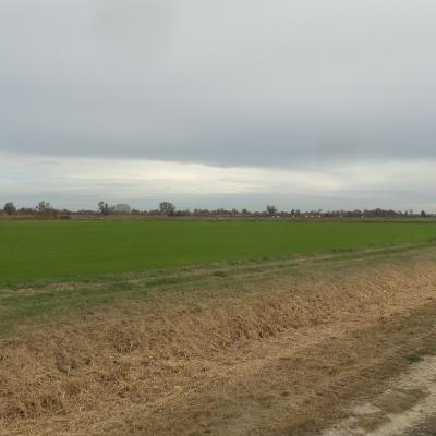 Visite de la manade de Méjanes