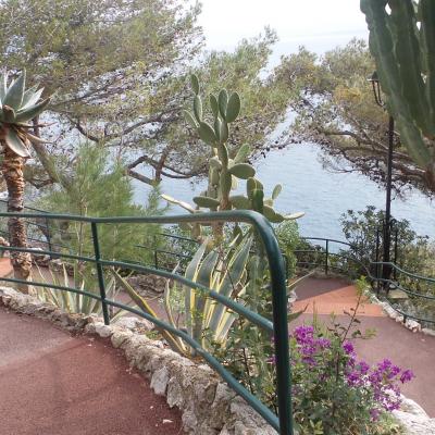 Les jardins à Monaco