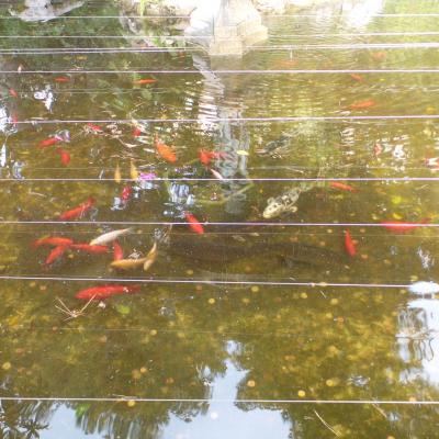 Les jardins à Monaco