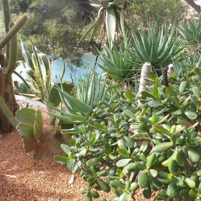 Les jardins à Monaco