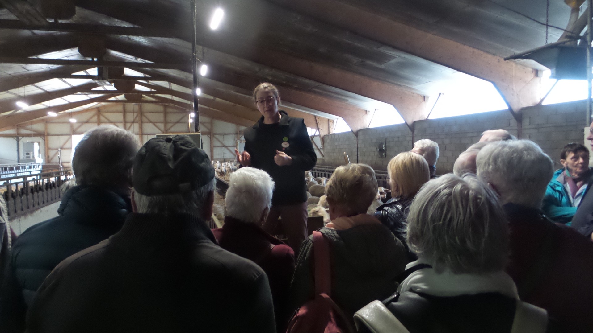 Visite d'une ferme 