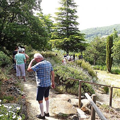 Visite Abbaye de Valsaintes