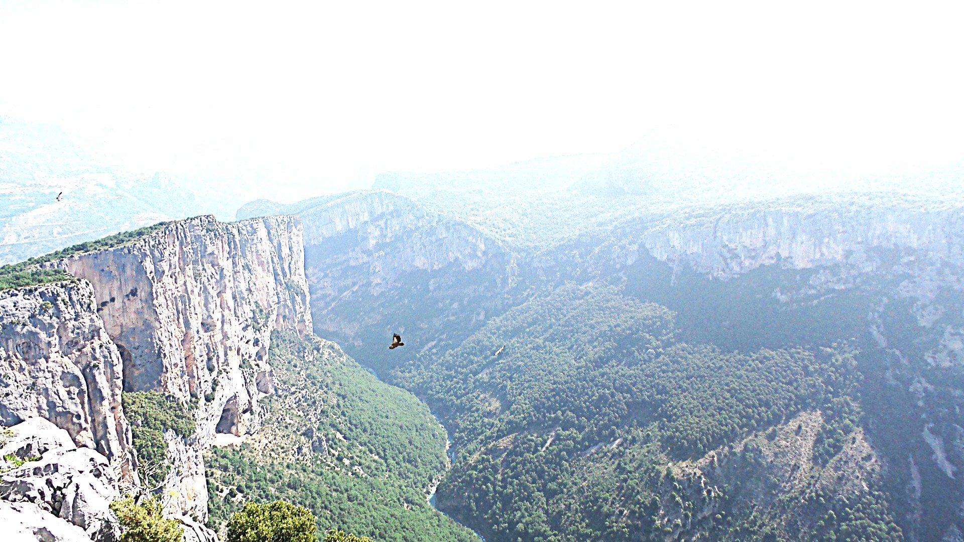 Les gorges du verdon