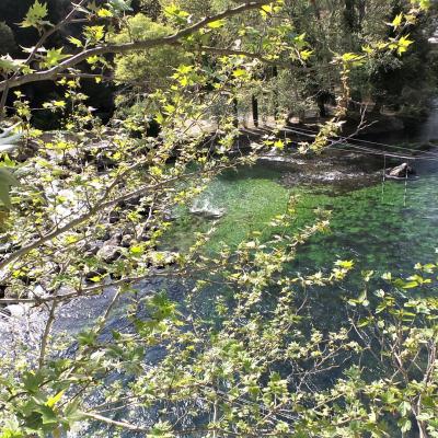 Fontaine du vaucluse