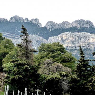 les dentelles de montmirail